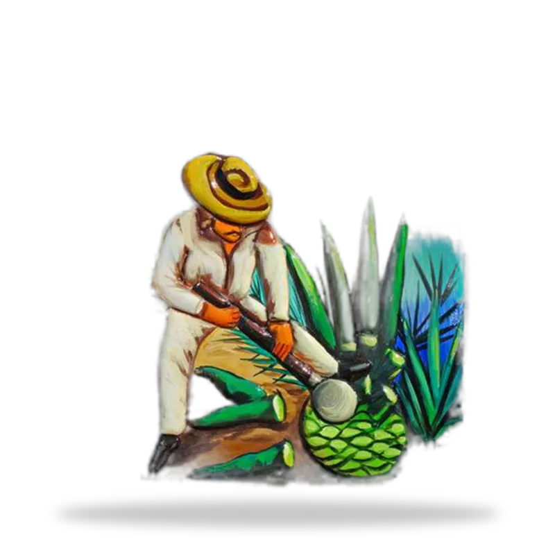 Aldeano y Agave — vista 3 de 4