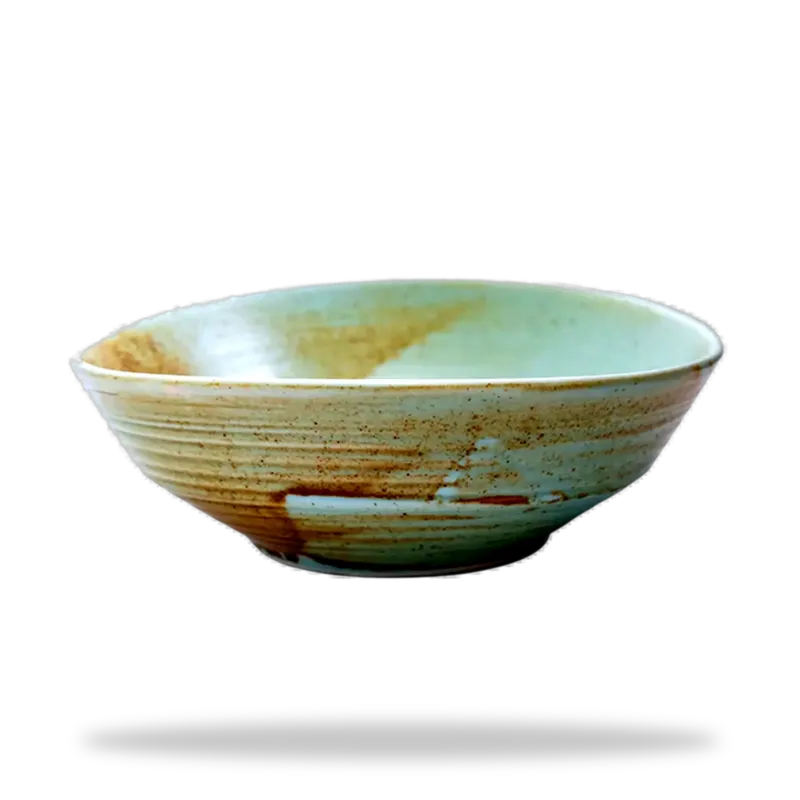 Tazon oval coral 8in